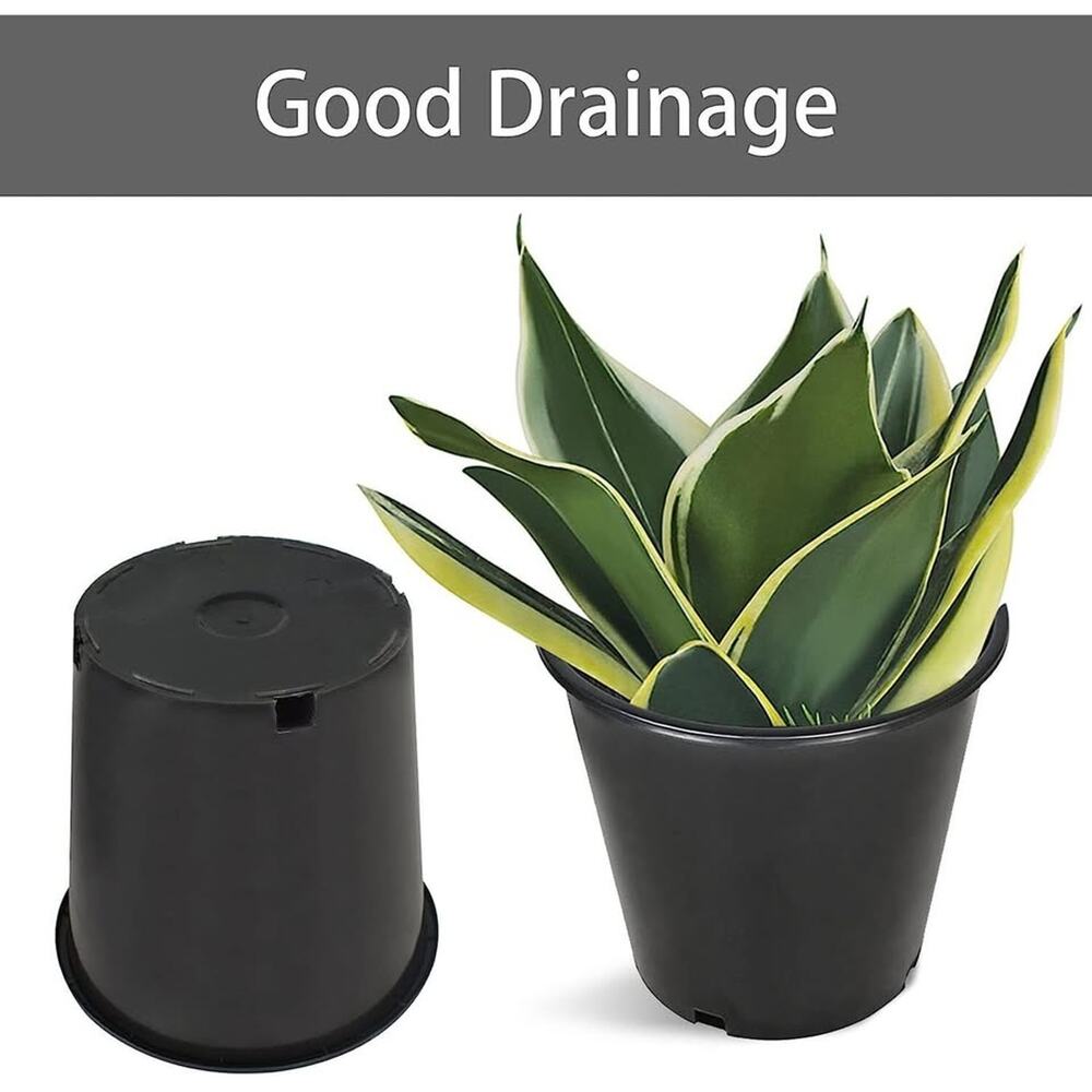 10-Pack 2 Gallon Plant Nursery Pots Black Plastic Garden Planters with Drainage - Picture 8 of 10